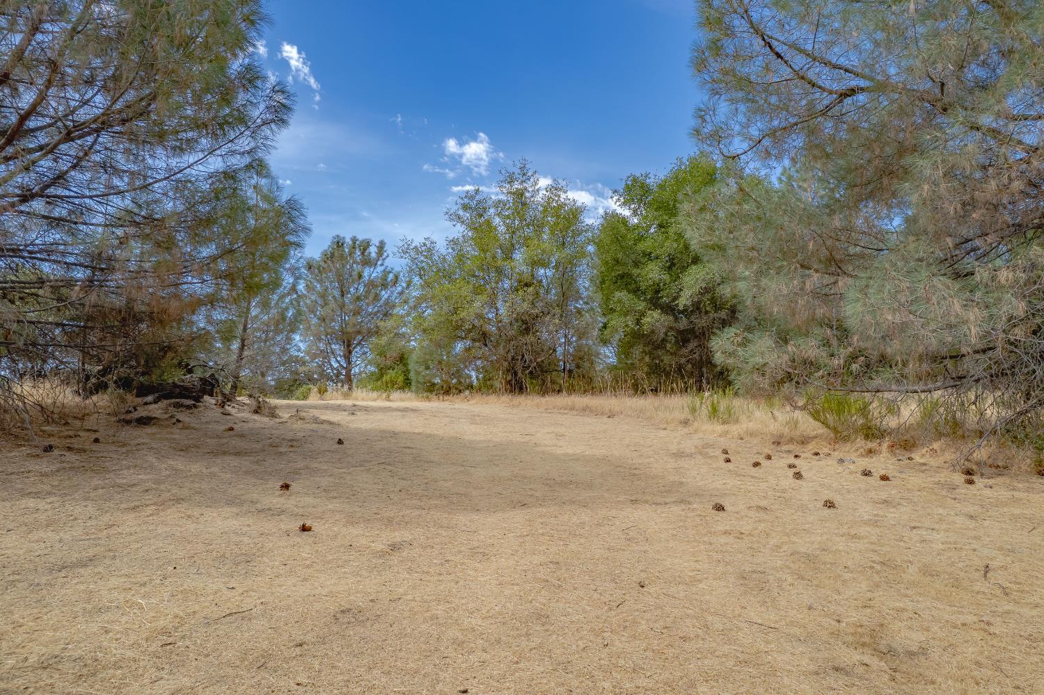 14331 Beitler Road Nevada City, CA 95959 - Photo 20 of 36 a view of beach and yard