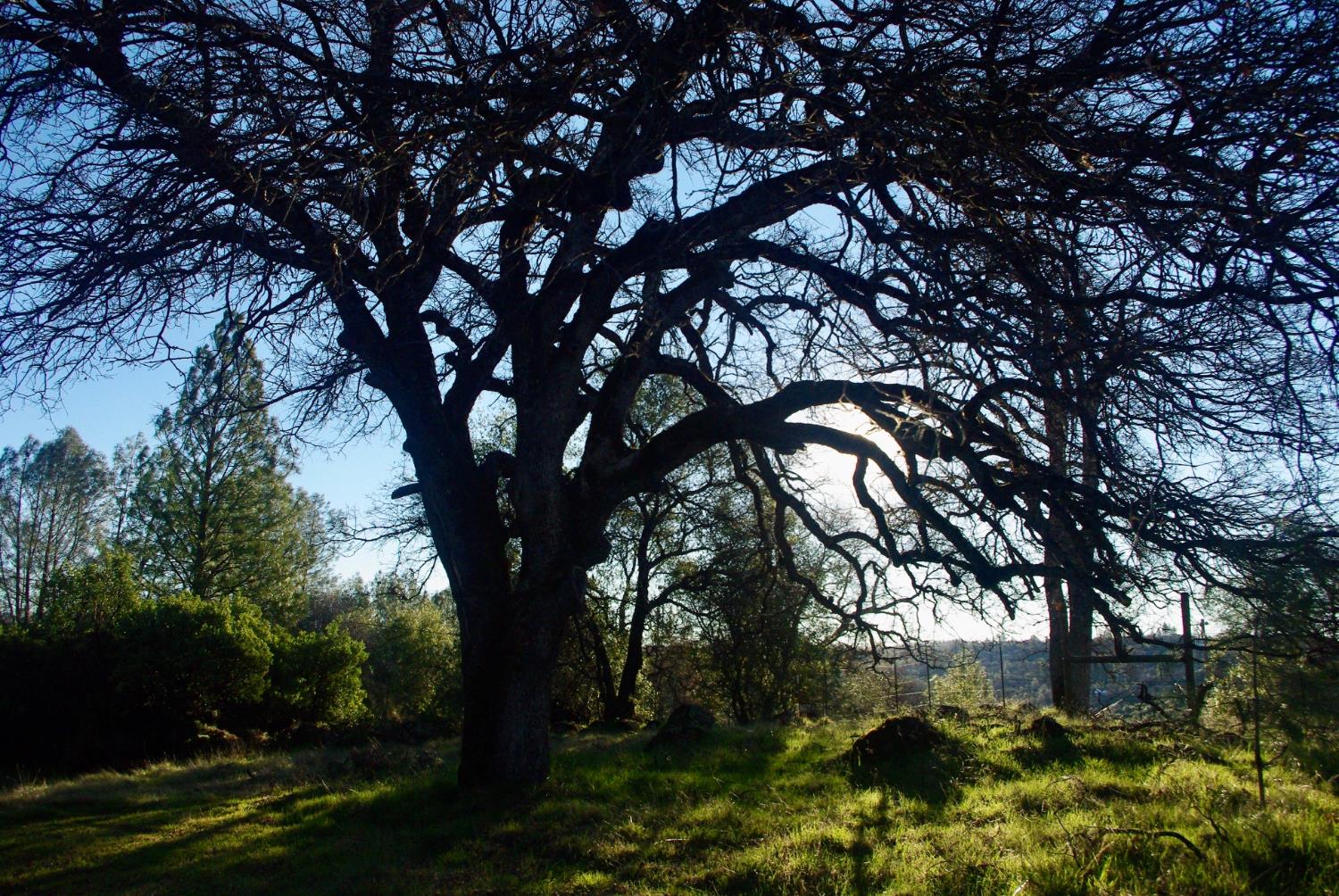 14331 Beitler Road Nevada City, CA 95959 - Photo 2 of 36