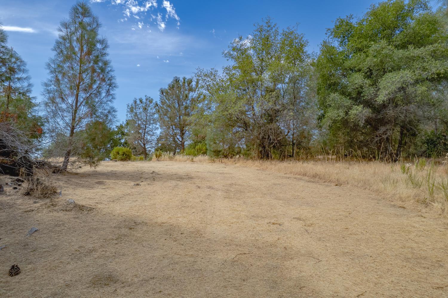 14331 Beitler Road Nevada City, CA 95959 - Photo 21 of 36 a view of dirt field with trees in the background