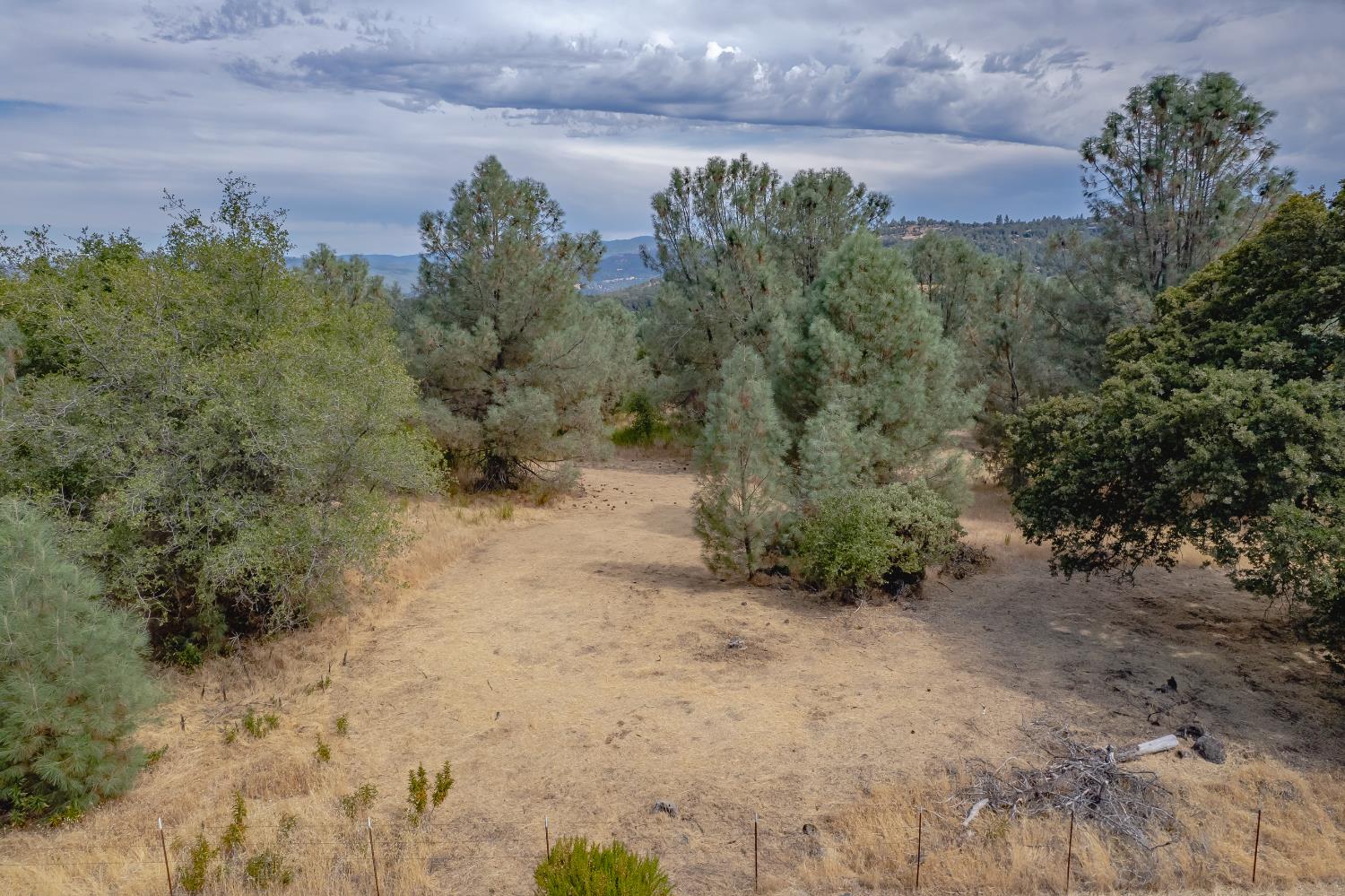 14331 Beitler Road Nevada City, CA 95959 - Photo 22 of 36 a view of a yard with a tree