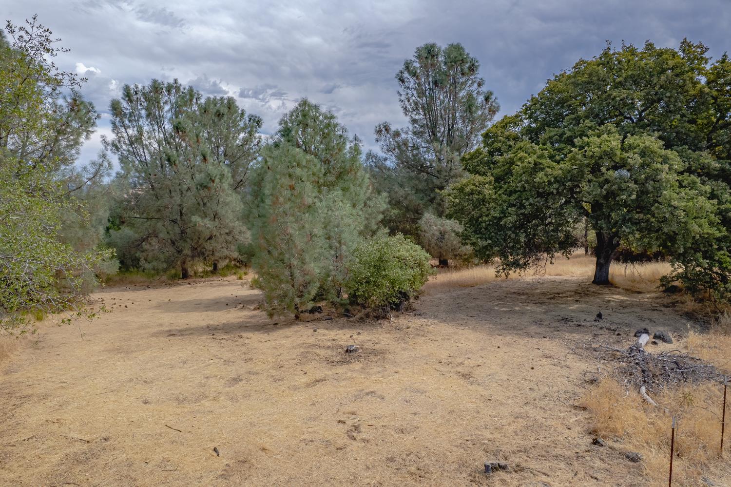 14331 Beitler Road Nevada City, CA 95959 - Photo 23 of 36 a view of a out area of trees