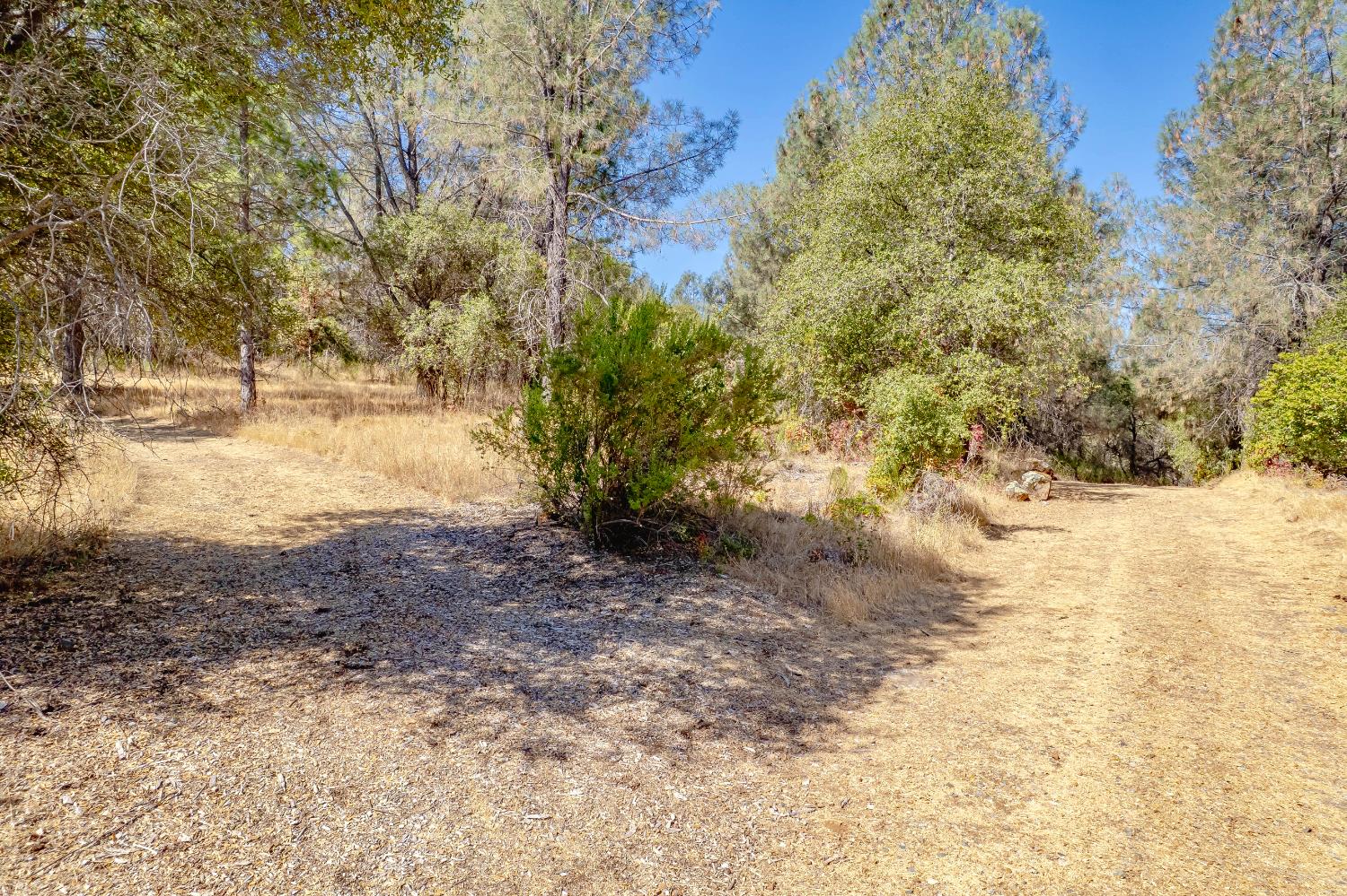 14331 Beitler Road Nevada City, CA 95959 - Photo 26 of 36 a view of yard covered with snow