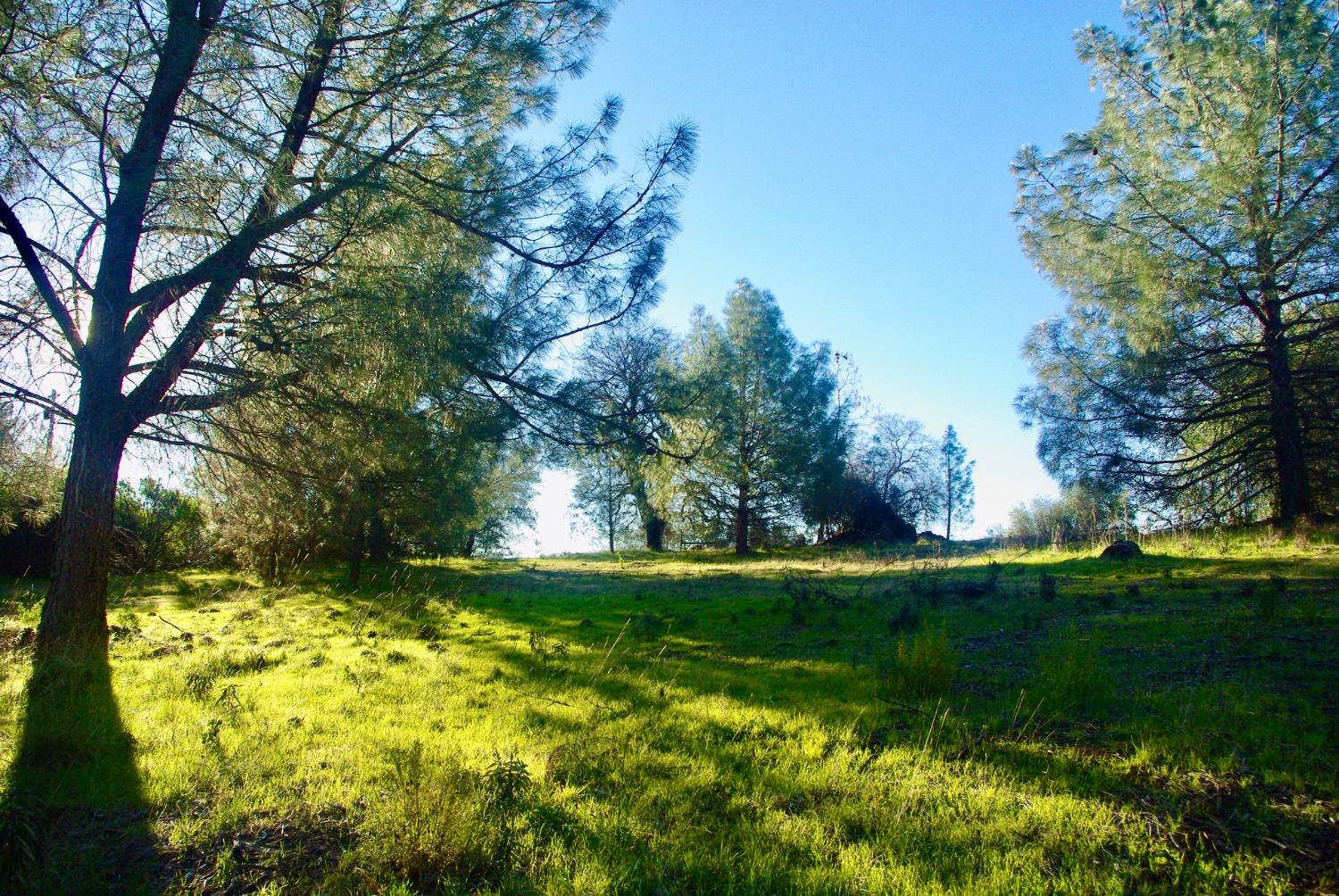 14331 Beitler Road Nevada City, CA 95959 - Photo 3 of 36 a view of backyard with swimming pool