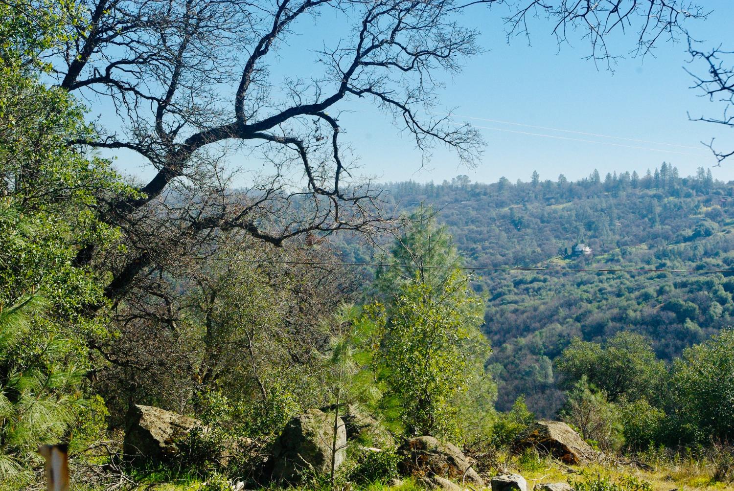14331 Beitler Road Nevada City, CA 95959 - Photo 6 of 36 a view of a yard in a yard