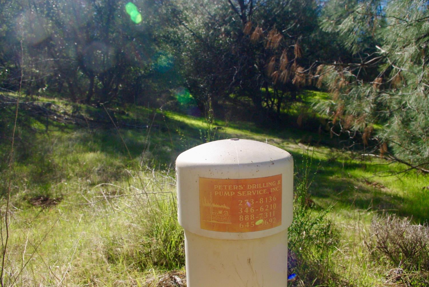 14331 Beitler Road Nevada City, CA 95959 - Photo 8 of 36 a view of a yard with plants