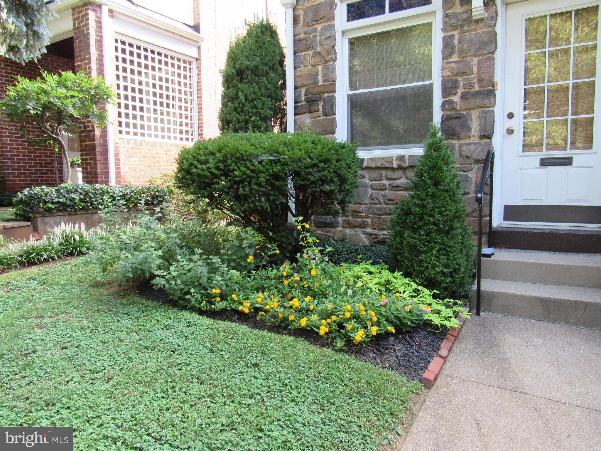 3715 Keswick Road Baltimore, MD 21211 - Photo 35 of 38 Landscaping in Front Yard