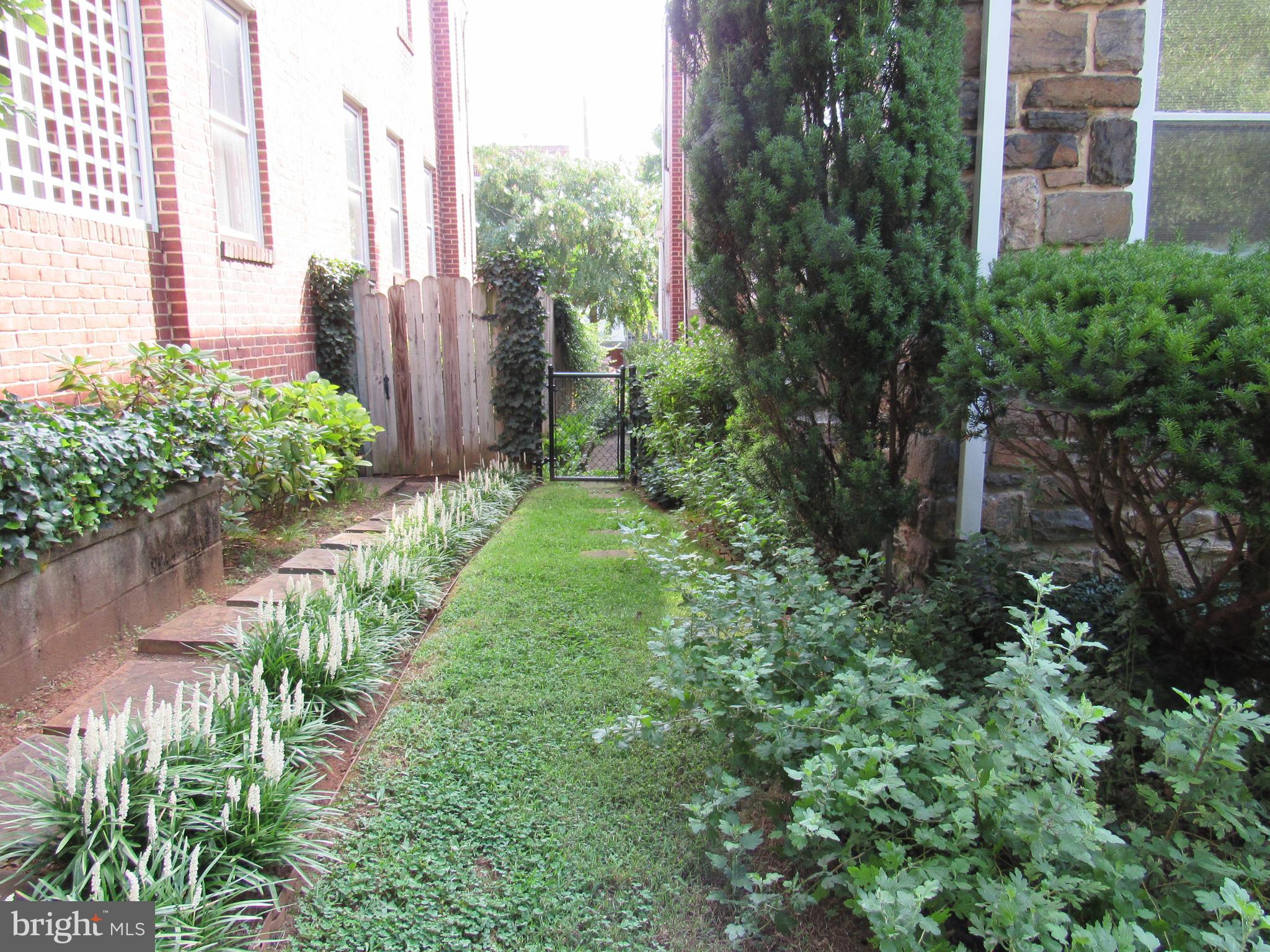 3715 Keswick Road Baltimore, MD 21211 - Photo 36 of 38 Landscaping on Side of House