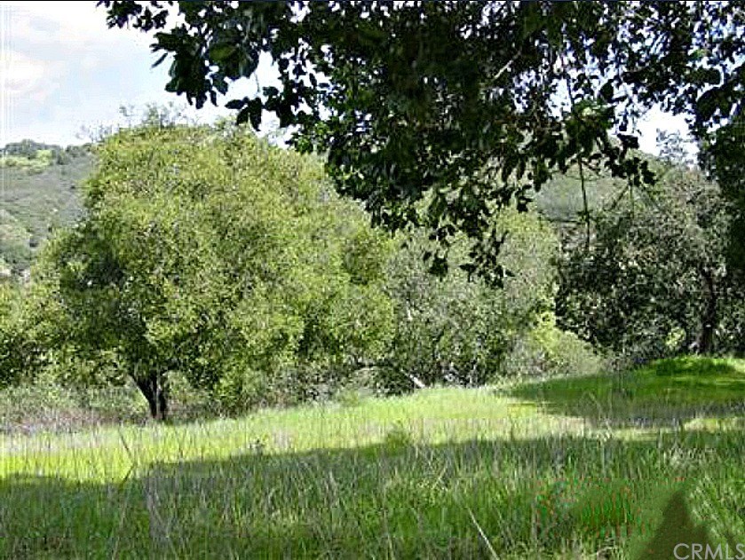 0 San Miguel Road Atascadero, CA 93422 - Photo 3 of 11 Gallery Image 3