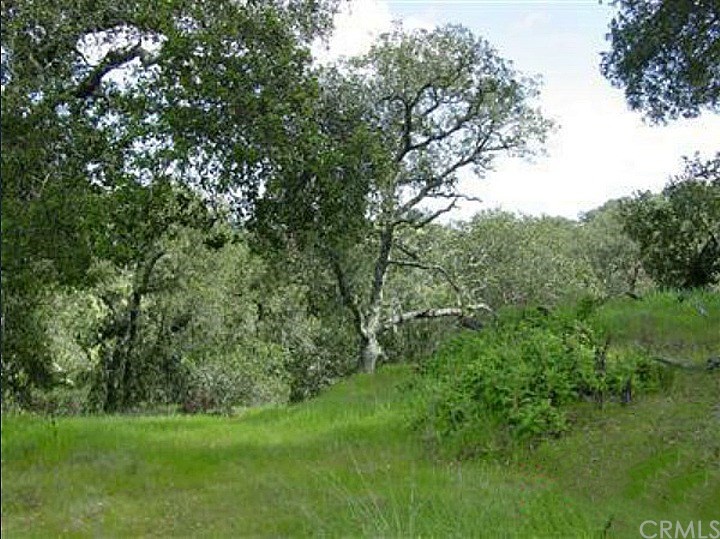 0 San Miguel Road Atascadero, CA 93422 - Photo 5 of 11 Gallery Image 5