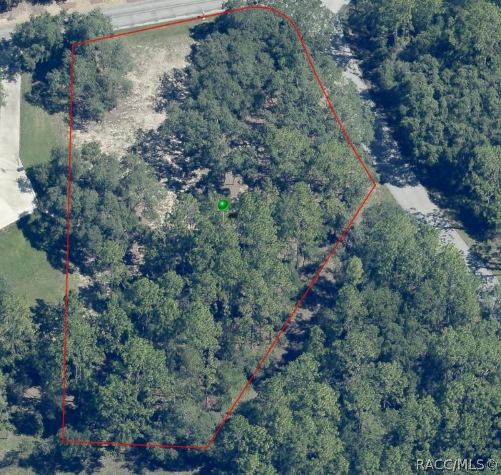 3817 North Indianhead Road Hernando, FL 34442 - Photo 4 of 4