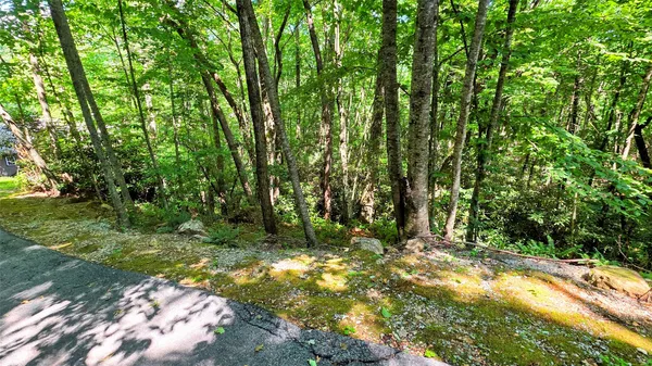 $21,000 | Lot 55 Toxaway Lane, Sapphire, NC 28774