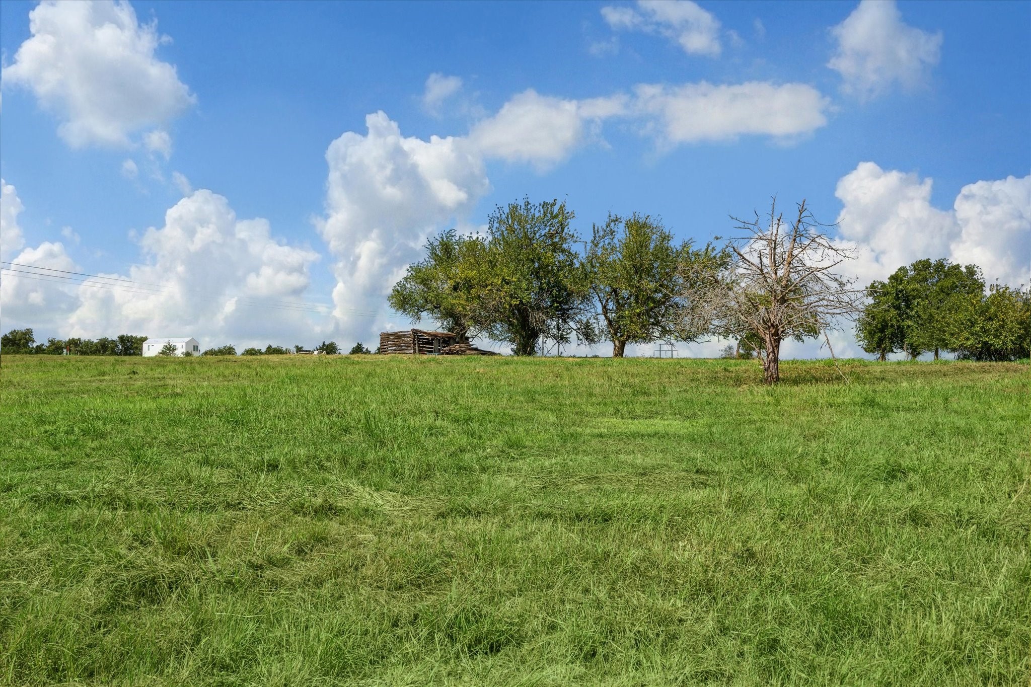 230 Vineyard View Trail Carmine, TX 78932 - Photo 11 of 12