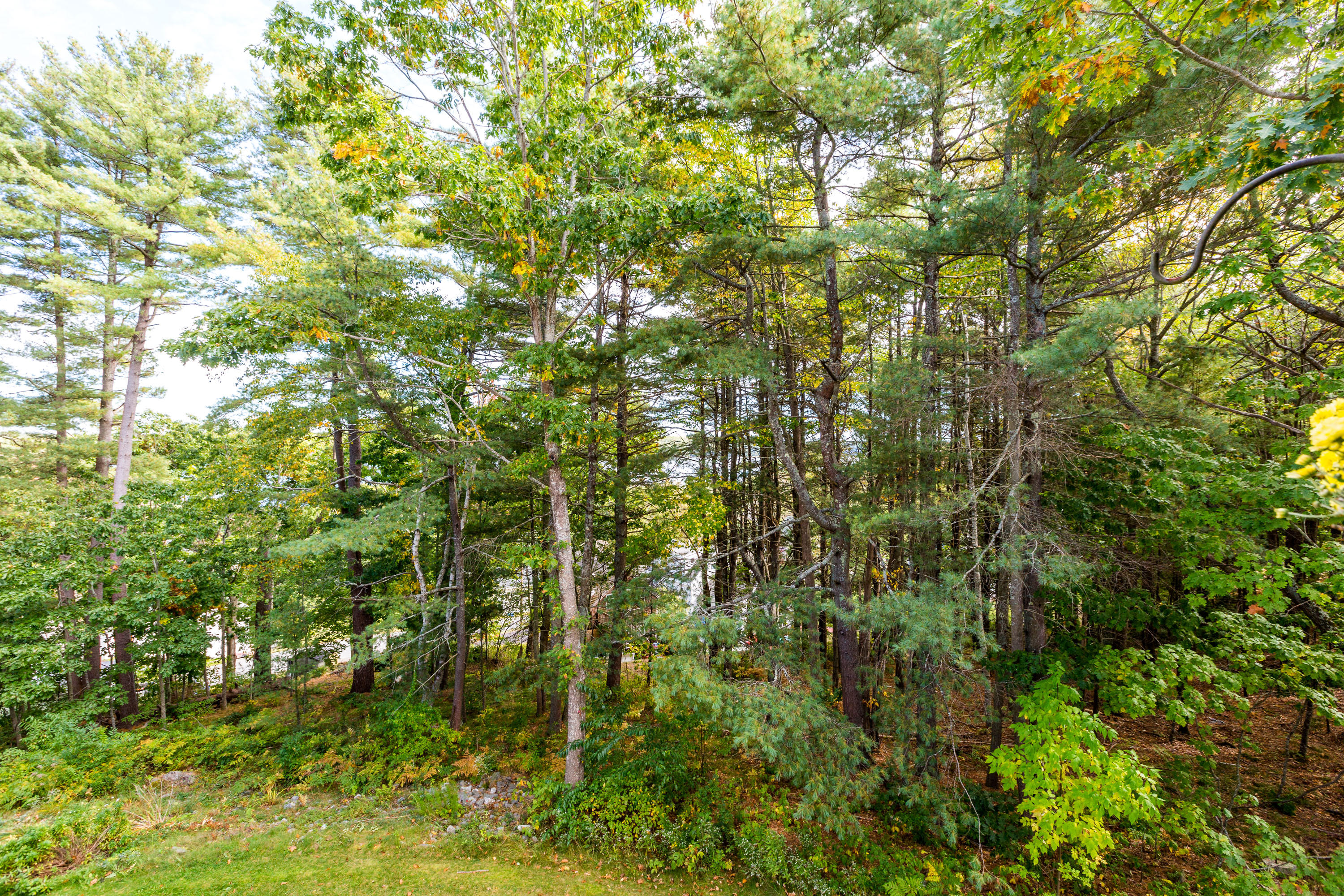 4 Schooner Ridge Road, Unit 7 Bath, ME 04530 - Photo 38 of 40 Schooner_Mulligan__57