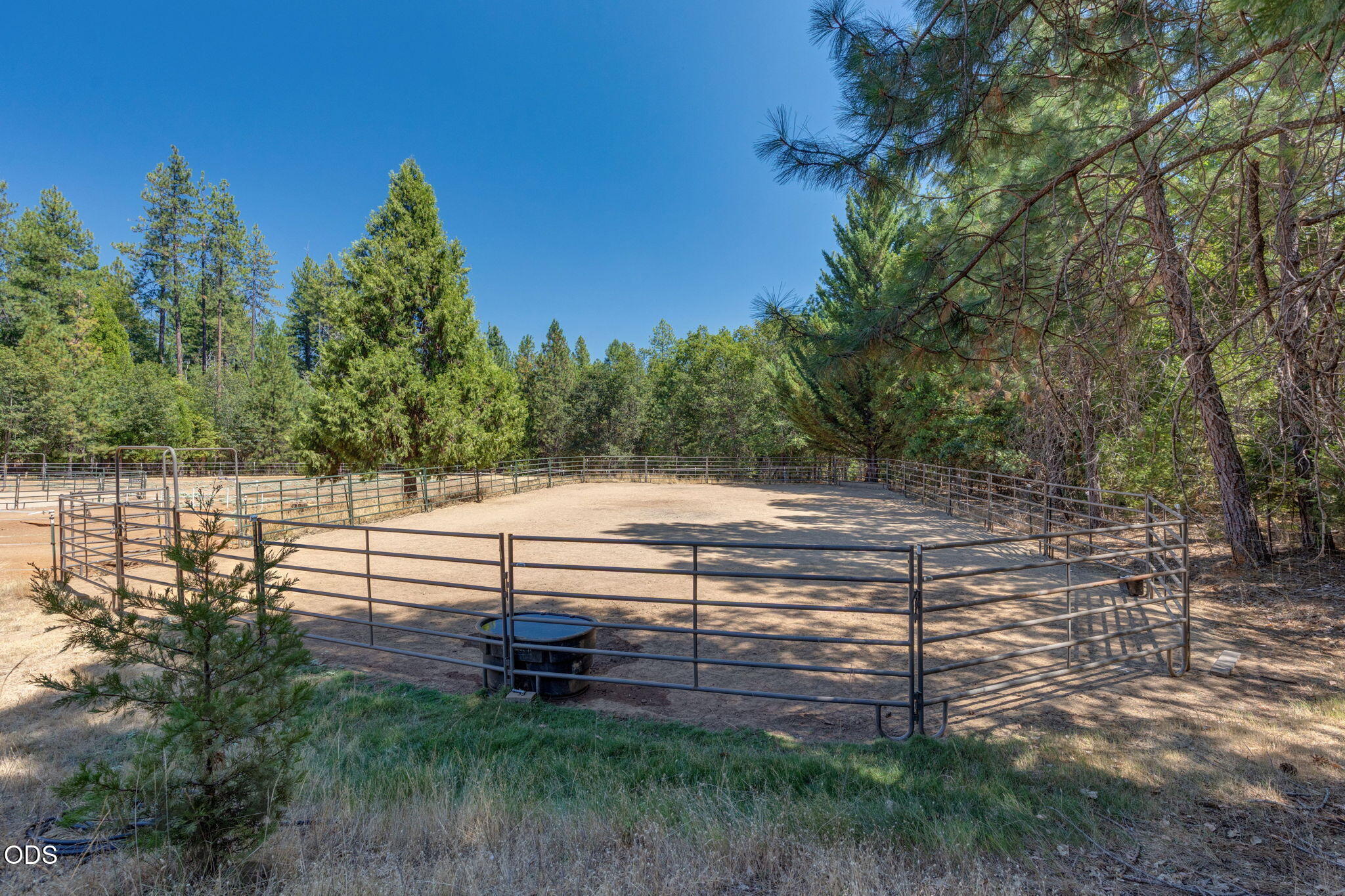 1650 Queens Branch Road Rogue River, OR 97537 - Photo 62 of 78 Gallery Image 62