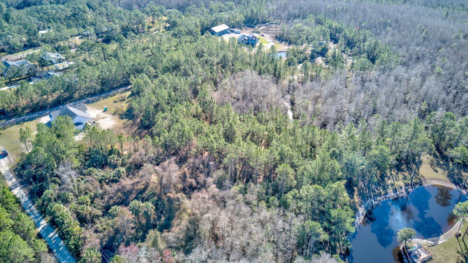 0 Rodeo Acres Drive Ormond Beach, FL 32174 - Photo 6 of 20 a view of a forest with a tree