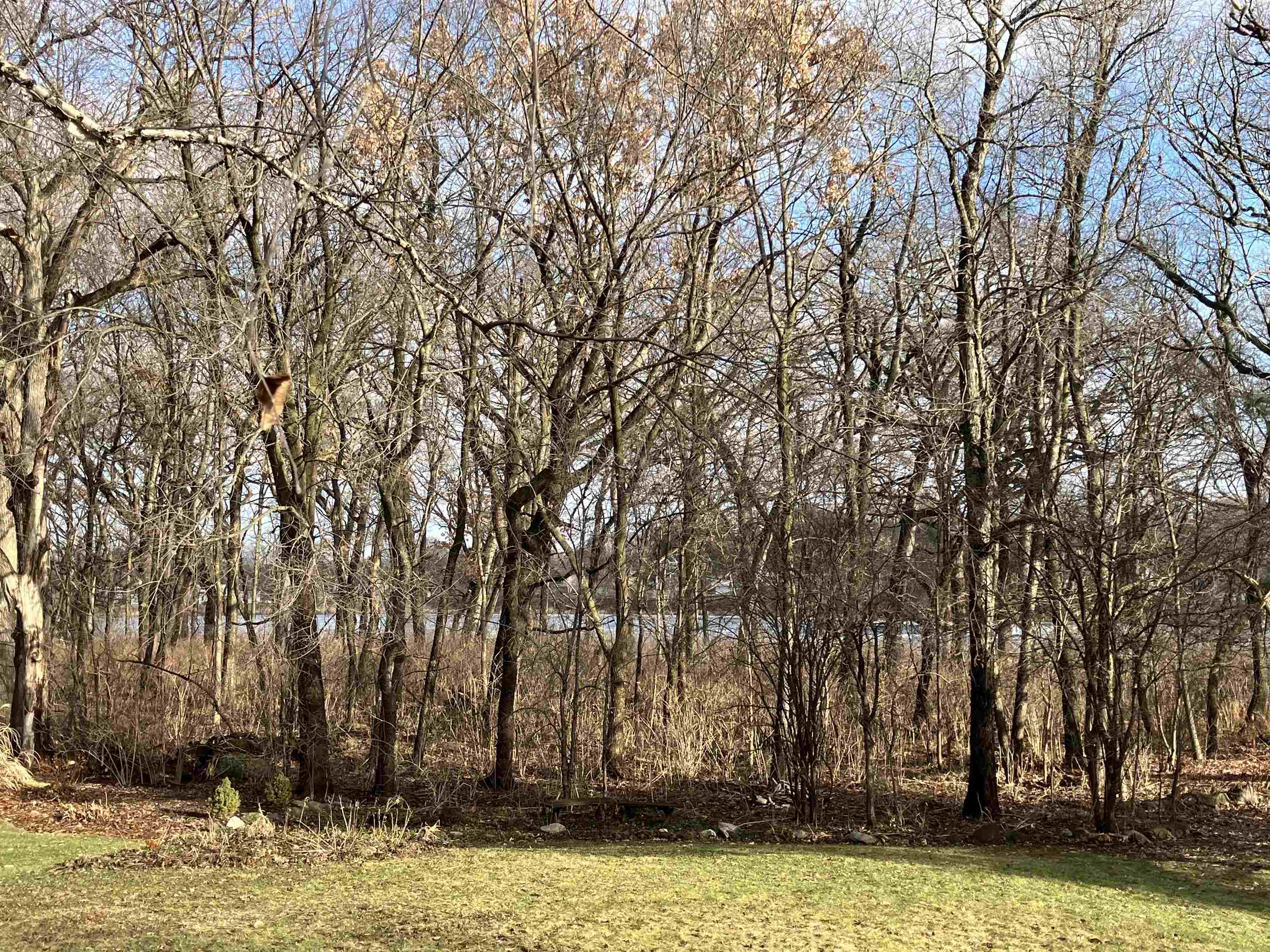 7402 Longmeadow Road Madison, WI 53717 - Photo 58 of 67