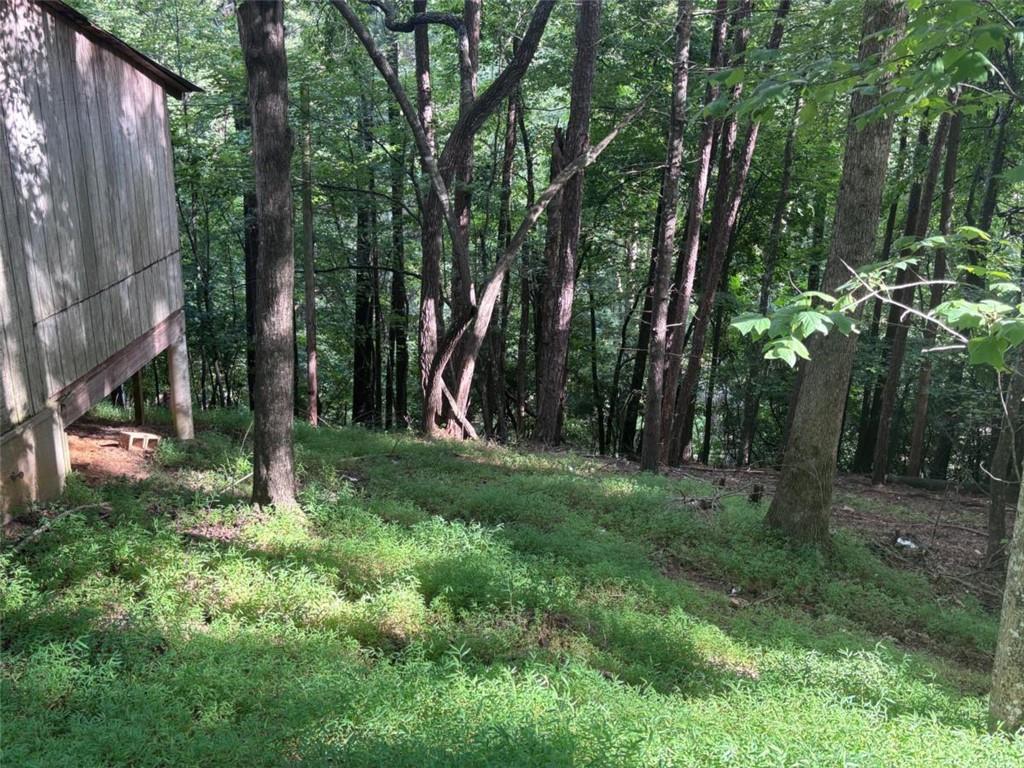 1163 Tipton Springs Road Morganton, GA 30560 - Photo 10 of 17 Gallery Image 10