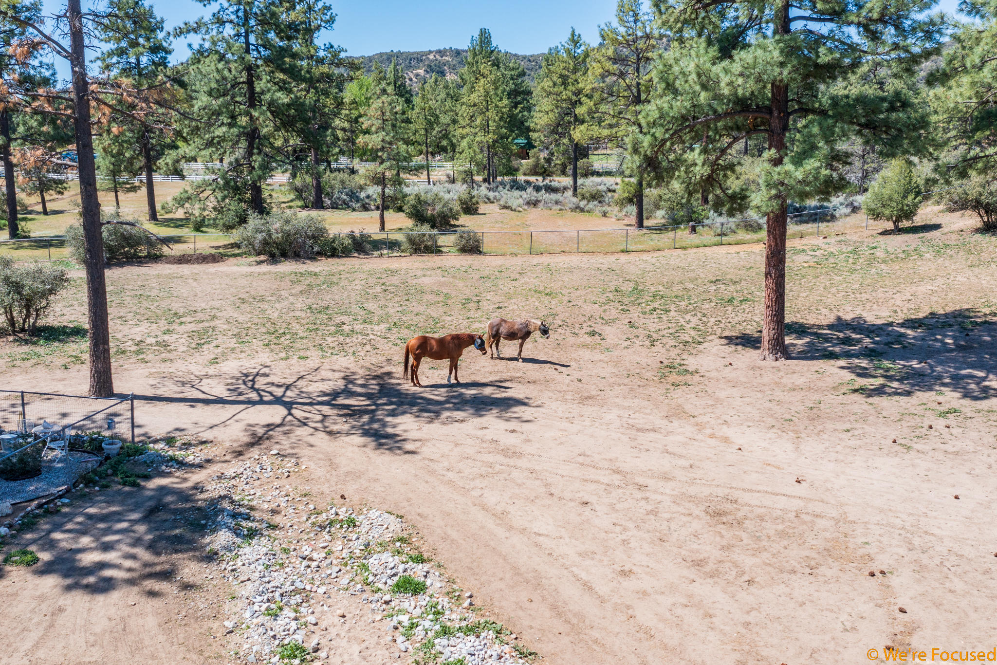60986 Devils Ladder Road Mountain Center, CA 92561 - Photo 53 of 62 We're Focused 60986 Devils Ladder-19