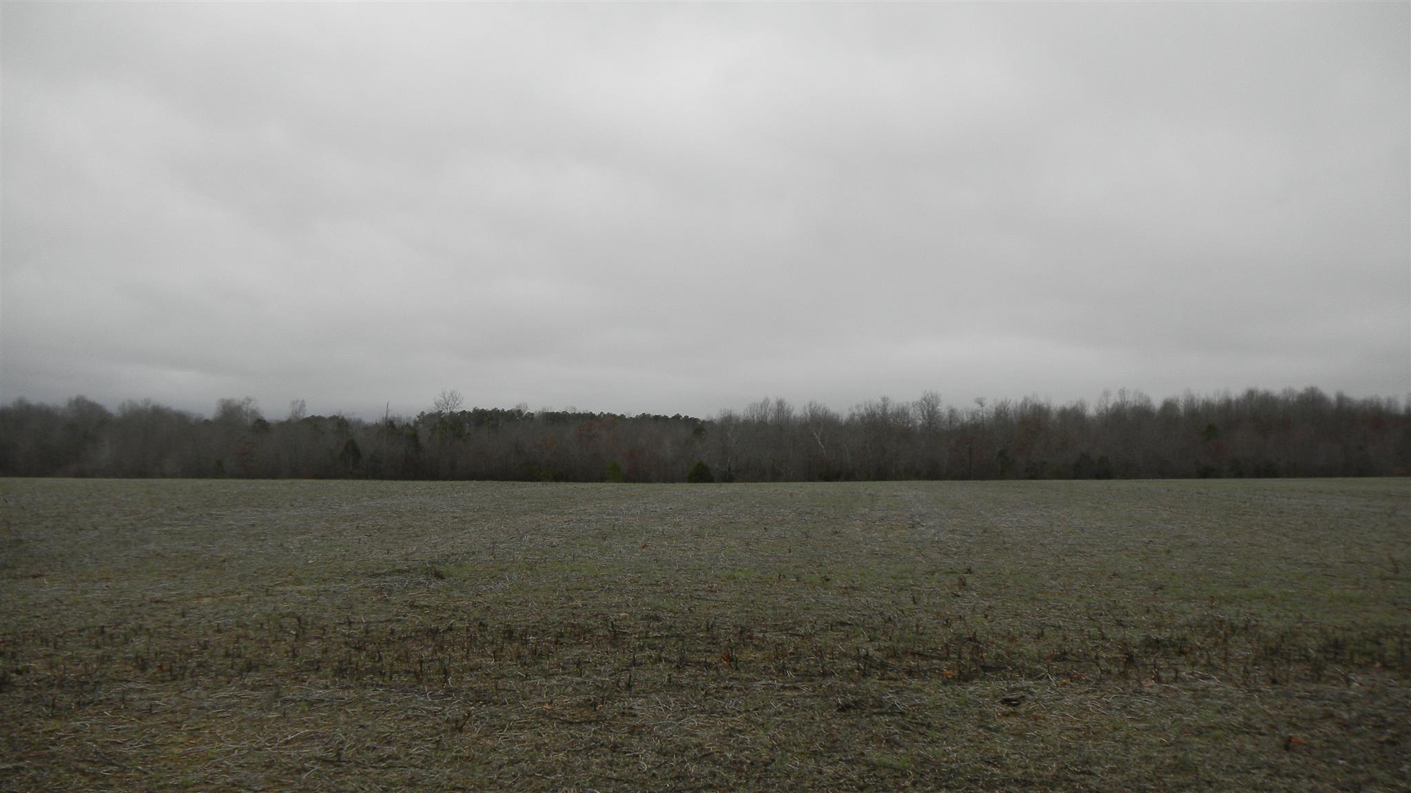 225 Sears Roebuck Road Tullahoma, TN 37388 - Photo 29 of 29 Gallery Image 29