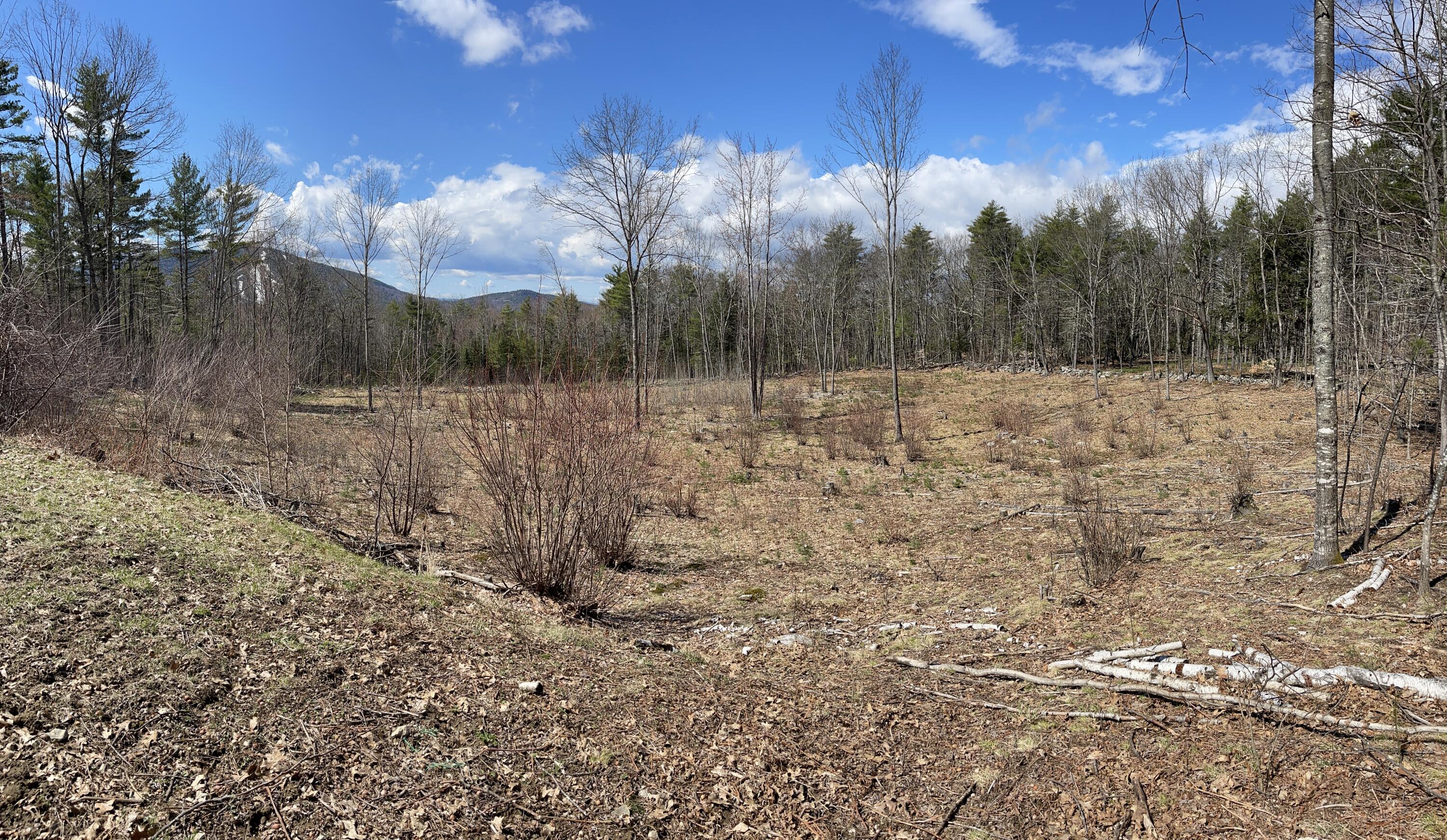 272 Sam Ingalls Road Bridgton, ME 04009 - Photo 30 of 48 So much room to roam