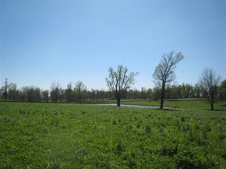 4750 Lexington Road Paris, KY 40361 - Photo 33 of 41 Photo 34