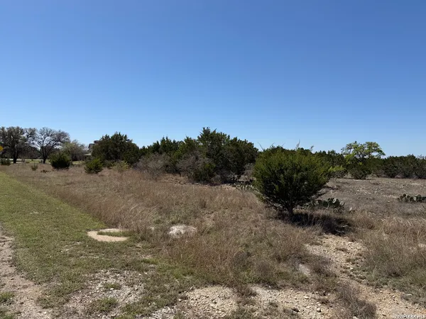 a view of a dry yard with trees
