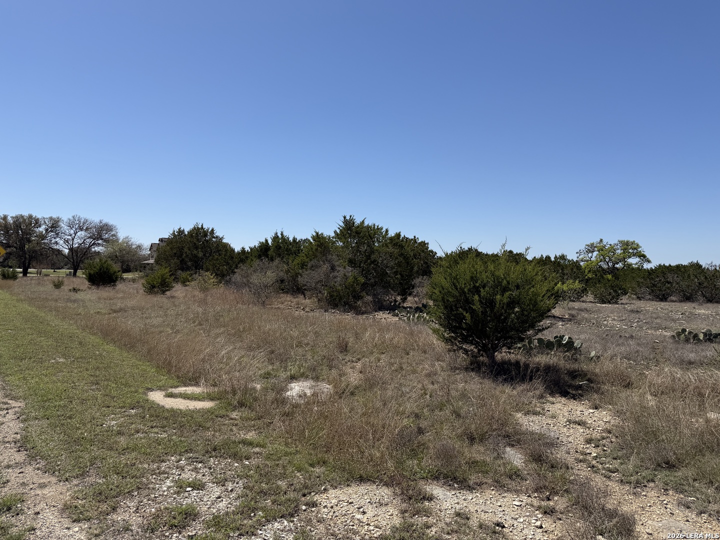 Lot 5 Cielo Rio Drive Pipe Creek, TX 78063 - Photo 1 of 5 a view of a dry yard with trees