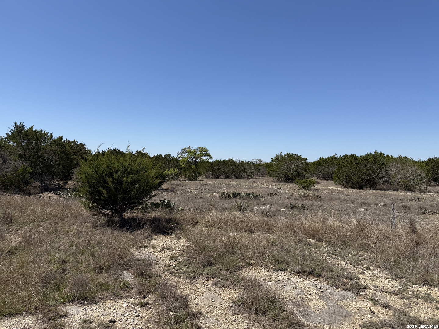 Lot 5 Cielo Rio Drive Pipe Creek, TX 78063 - Photo 2 of 5 a view of a dry yard with mountains in the background