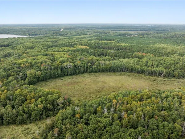 $149,000 | Parcel F East Horseshoe Lake Road, Merrifield, MN 56465