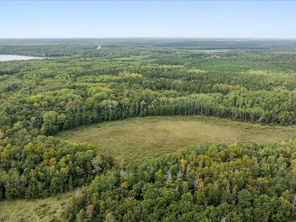 Parcel F Southwest Horseshoe Lake Road Merrifield, MN 56465 - Photo 13 of 28