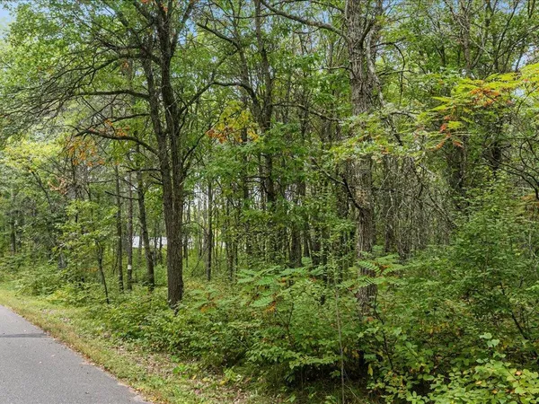 $149,000 | Parcel F East Horseshoe Lake Road, Merrifield, MN 56465