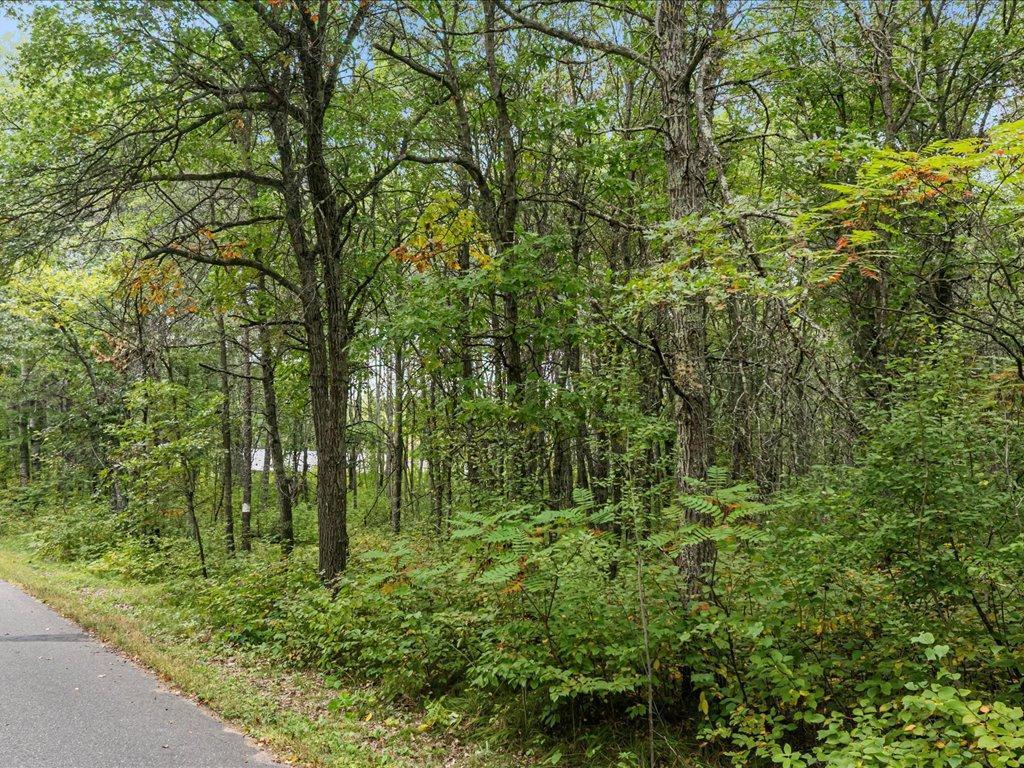 Parcel F Southwest Horseshoe Lake Road Merrifield, MN 56465 - Photo 15 of 28