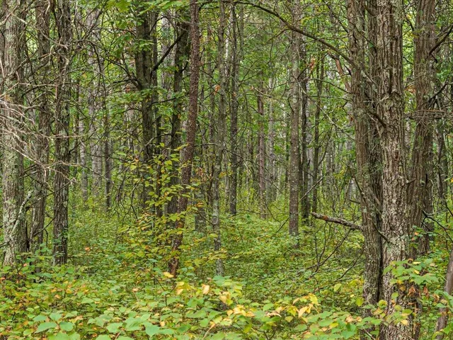 $149,000 | Parcel F East Horseshoe Lake Road, Merrifield, MN 56465