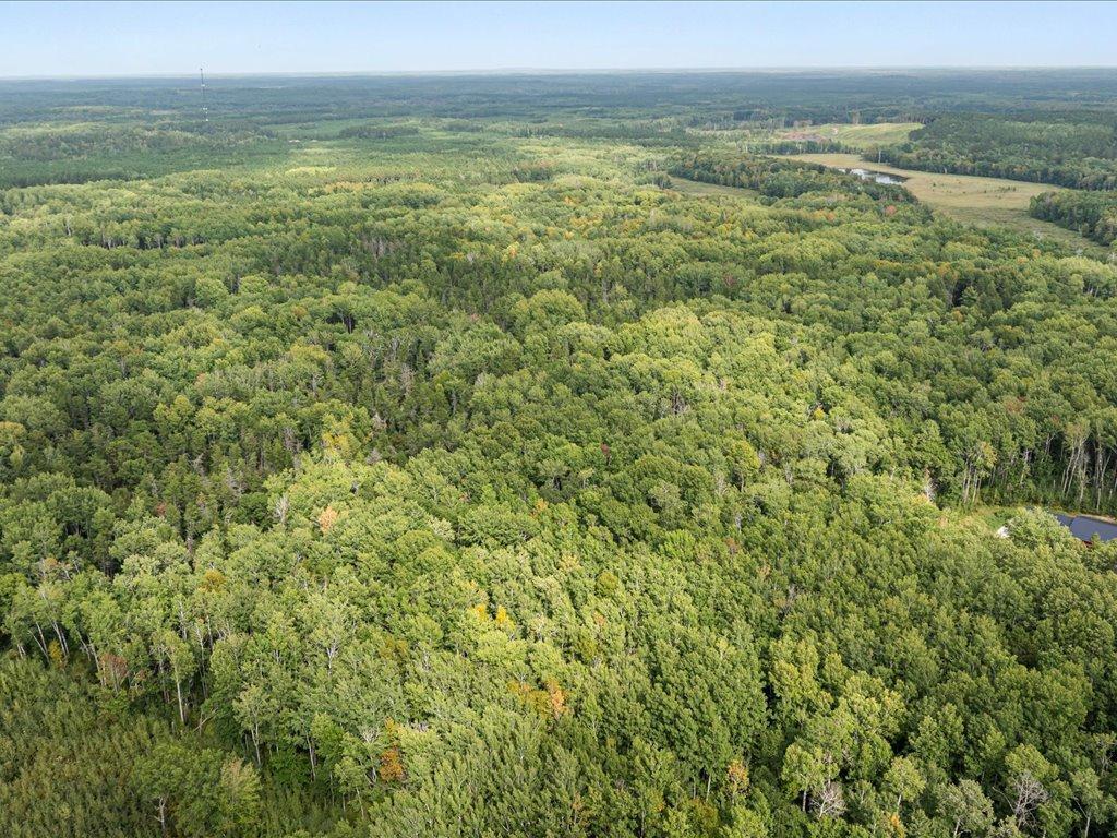 Parcel F Southwest Horseshoe Lake Road Merrifield, MN 56465 - Photo 21 of 28