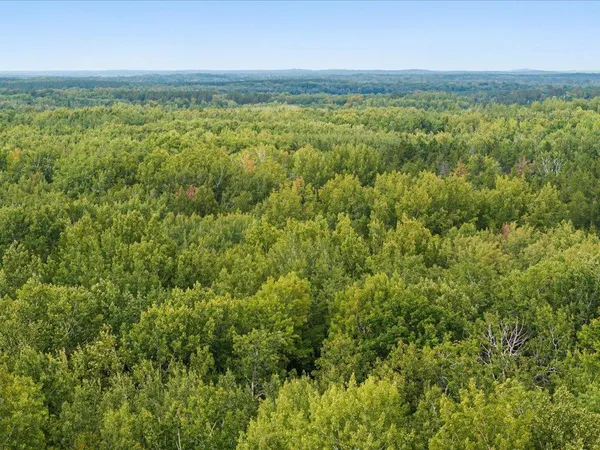 $149,000 | Parcel F East Horseshoe Lake Road, Merrifield, MN 56465