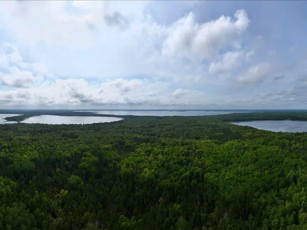 $149,000 | Parcel F East Horseshoe Lake Road, Merrifield, MN 56465