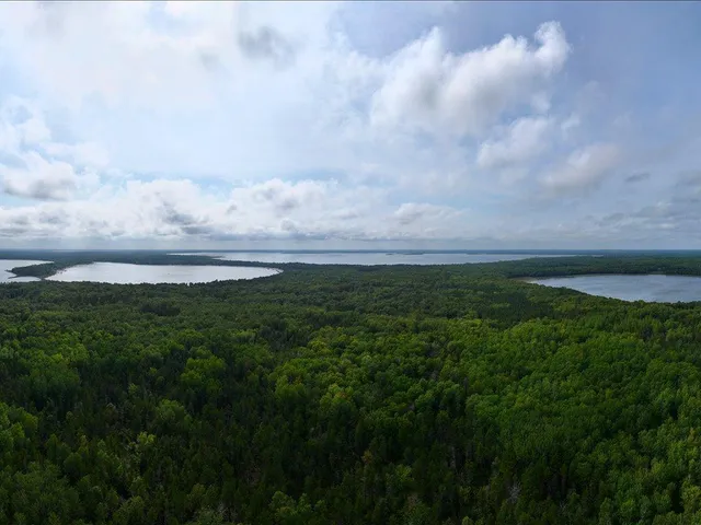 $149,000 | Parcel F East Horseshoe Lake Road, Merrifield, MN 56465