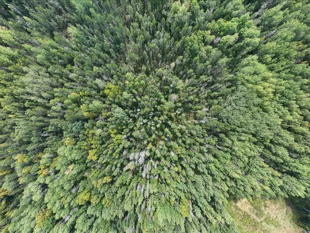 $149,000 | Parcel F East Horseshoe Lake Road, Merrifield, MN 56465