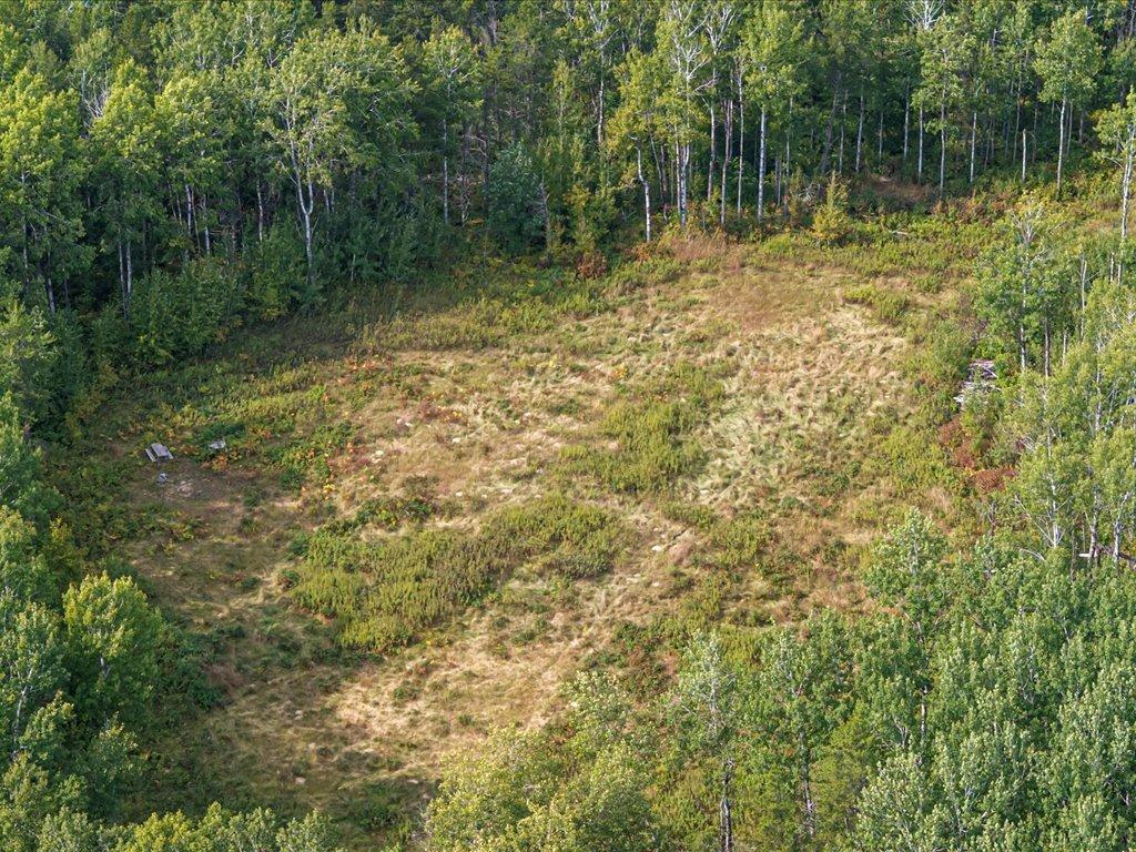 Parcel F Southwest Horseshoe Lake Road Merrifield, MN 56465 - Photo 6 of 28