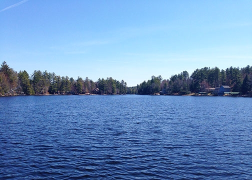 1-6 Fish Cove Road, Unit 6 Meredith, NH 03253 - Photo 26 of 29