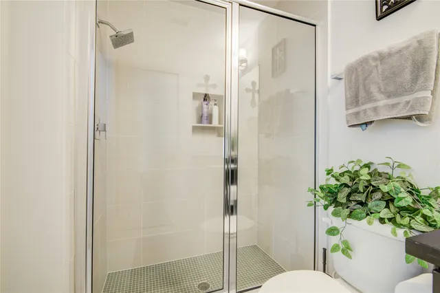 a bathroom with a shower and a toilet