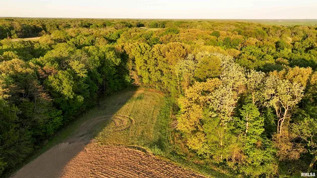 $460,000 | 0 North Chambers Road, Smithfield, IL 61477