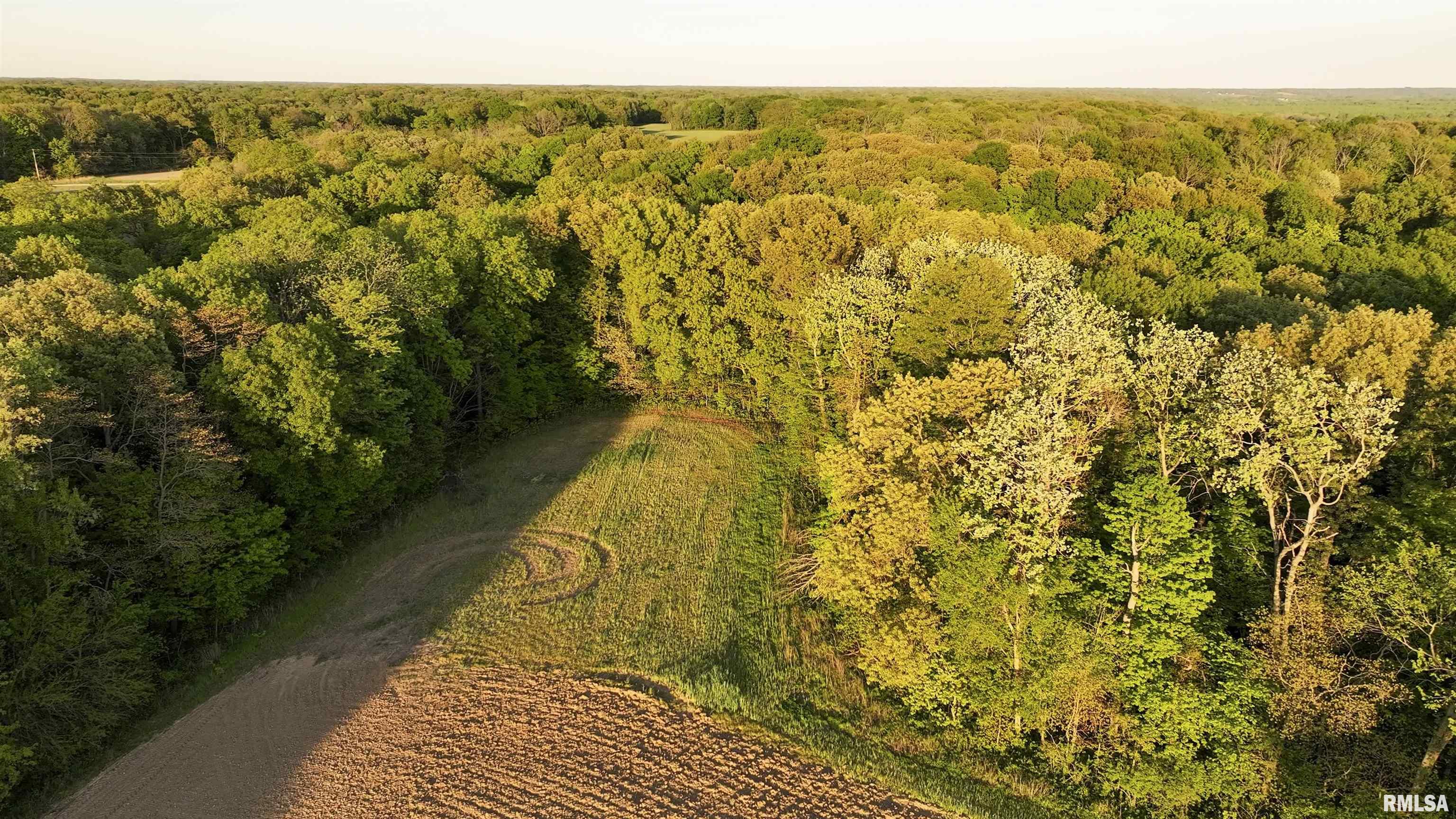 0 North Chambers Road Smithfield, IL 61477 - Photo 11 of 42