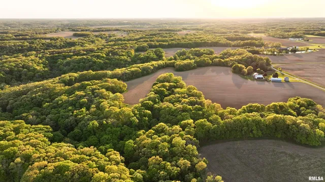 $460,000 | 0 North Chambers Road, Smithfield, IL 61477