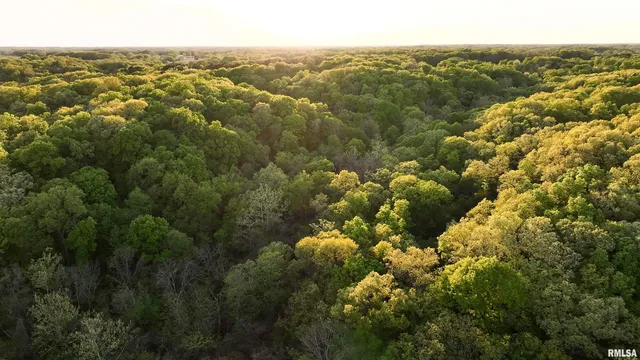 $460,000 | 0 North Chambers Road, Smithfield, IL 61477