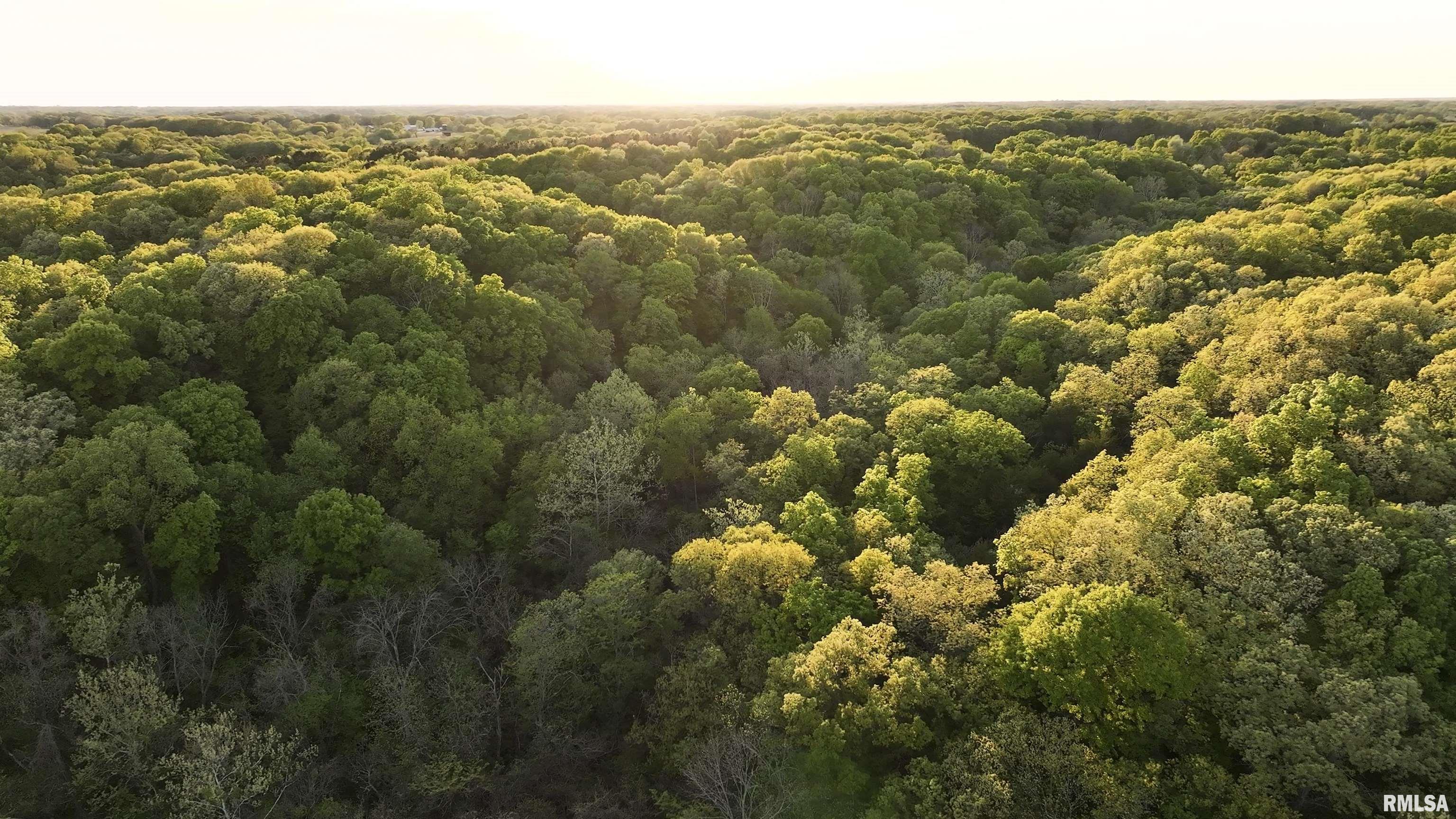 0 North Chambers Road Smithfield, IL 61477 - Photo 14 of 42