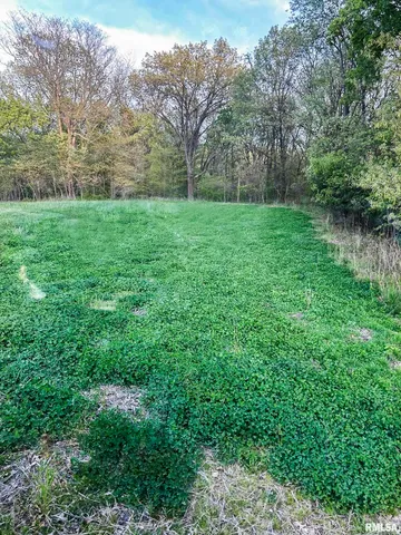 $460,000 | 0 North Chambers Road, Smithfield, IL 61477