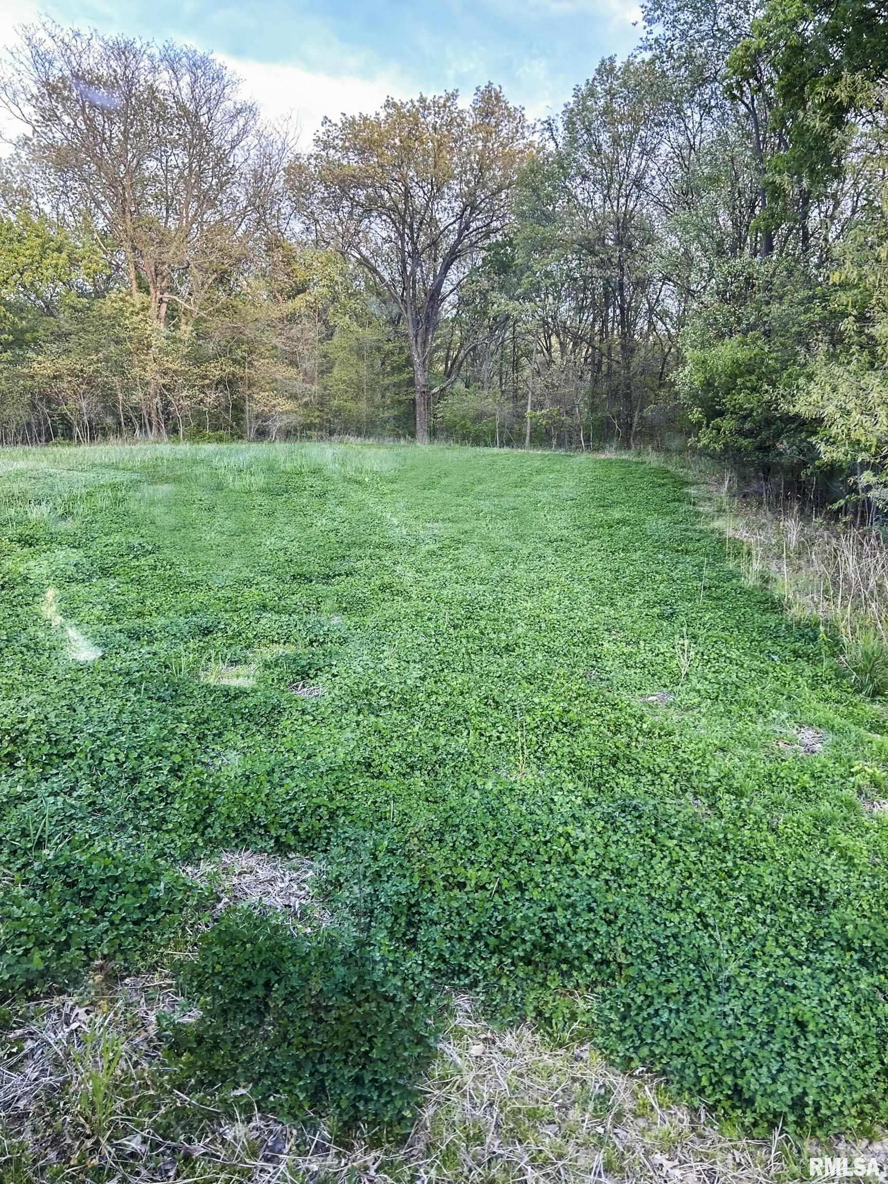 0 North Chambers Road Smithfield, IL 61477 - Photo 15 of 42