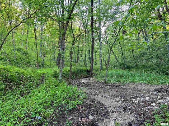 $460,000 | 0 North Chambers Road, Smithfield, IL 61477