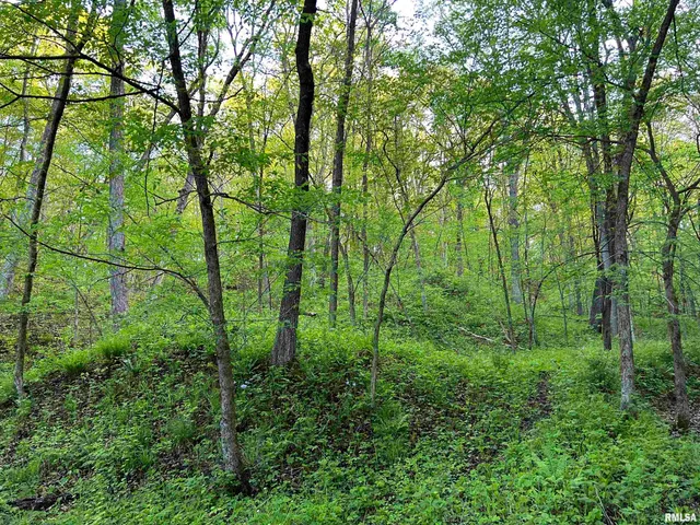 $460,000 | 0 North Chambers Road, Smithfield, IL 61477